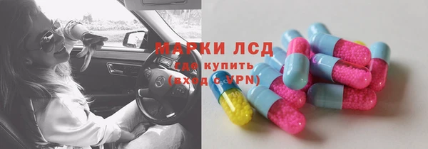 стаф Баксан