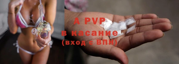 стаф Баксан