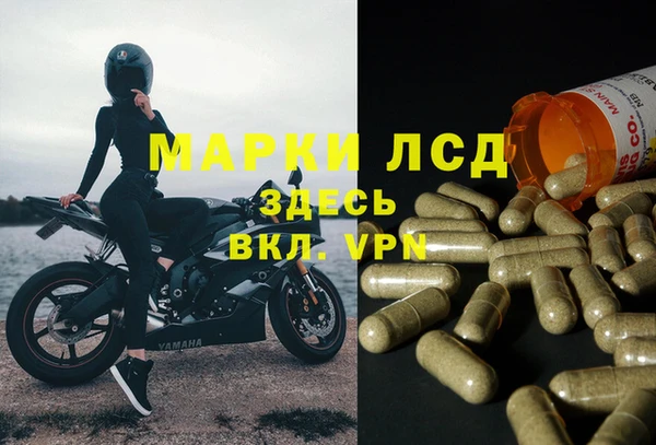 стаф Баксан