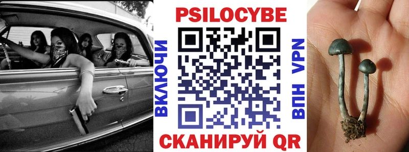 закладки  Белогорск  Псилоцибиновые грибы Psilocybe 